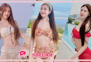 ndream 31
