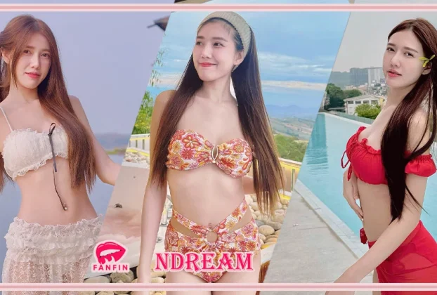 ndream 31