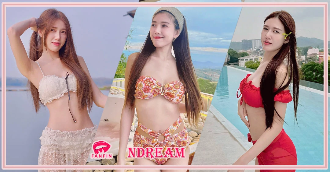 ndream 31